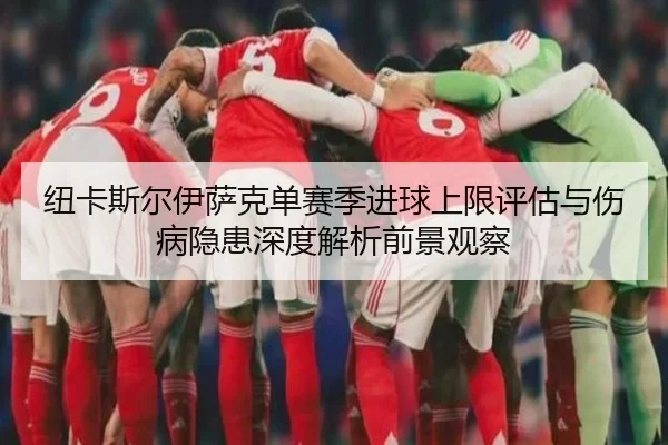 纽卡斯尔伊萨克单赛季进球上限评估与伤病隐患深度解析前景观察